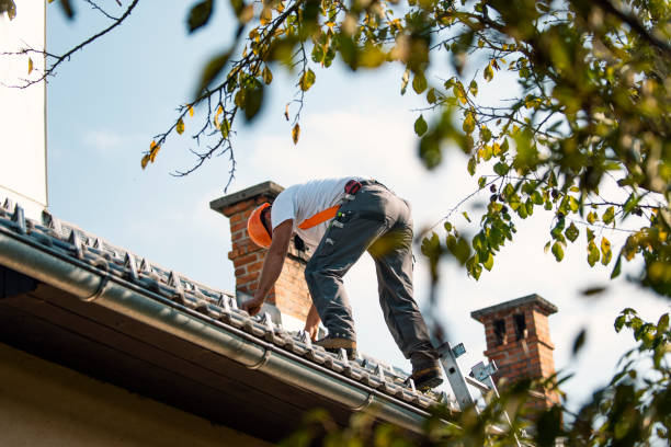 Best Flat Roof Repair Services  in Wheaton, IL