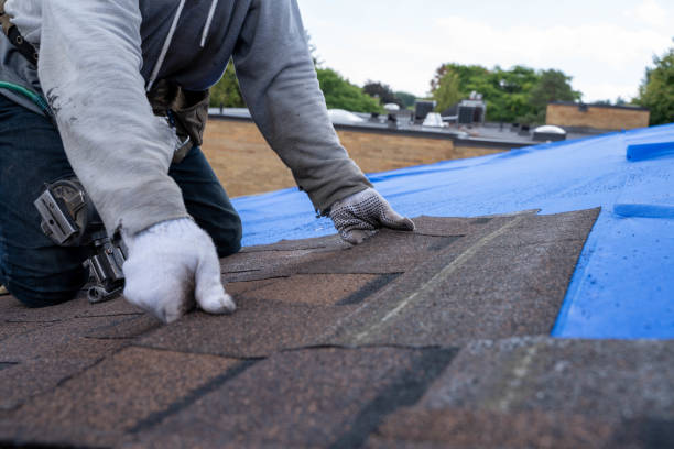 Professional Roofing Contractor in Wheaton, IL