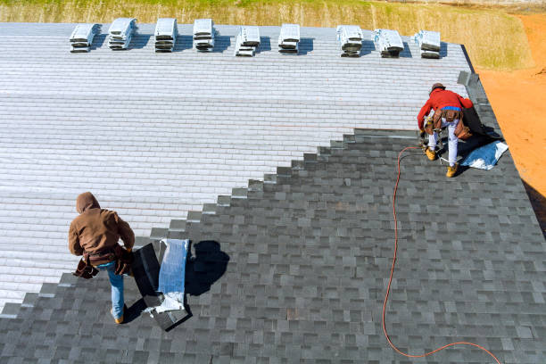 Best Metal Roofing Contractor  in Wheaton, IL